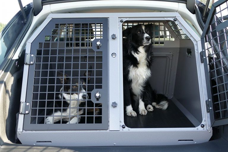 K9/B9 Double Dog Cage Transit Box for Isuzu, Toyota, Ford Ranger Transk9
