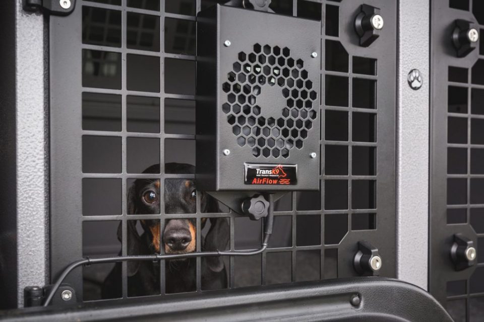 12v fan for dog crate