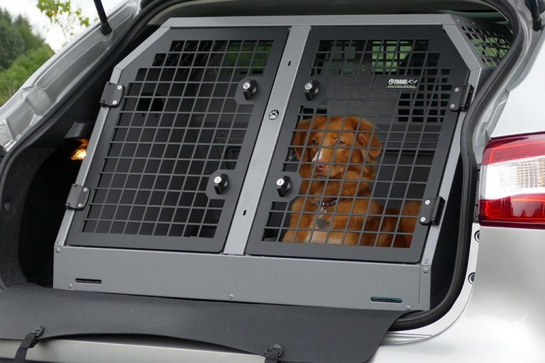 K9/B32 Double Dog Cage for Audi Q3 TransK9