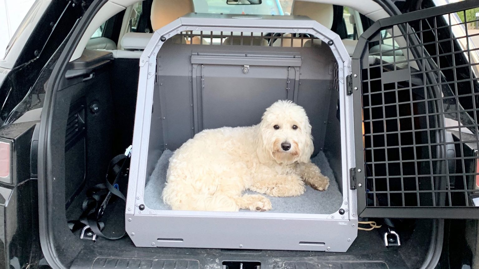 K9/B42 Single Dog Cage for Volvo XC40 TransK9