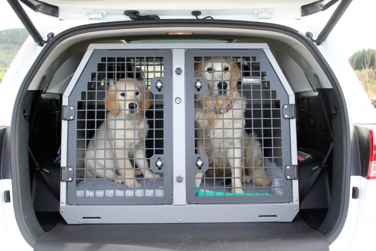 K9/B19 Double Dog Cage for Mitsubishi Shogun Sport TransK9