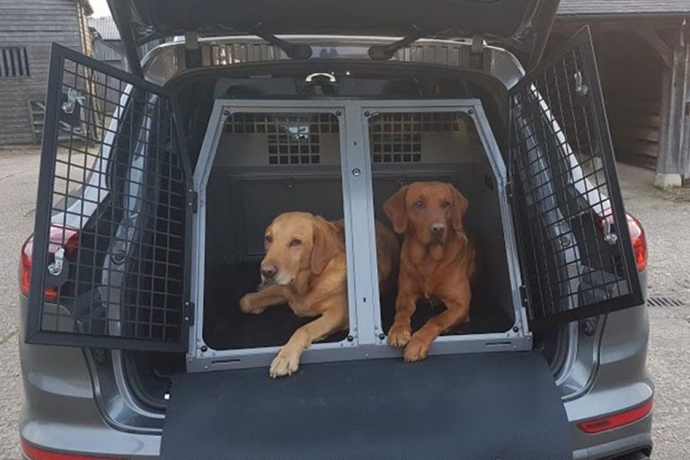 K9/B31 Double Dog Cage Transit Box for Porsche, Volvo XC60 & more Transk9
