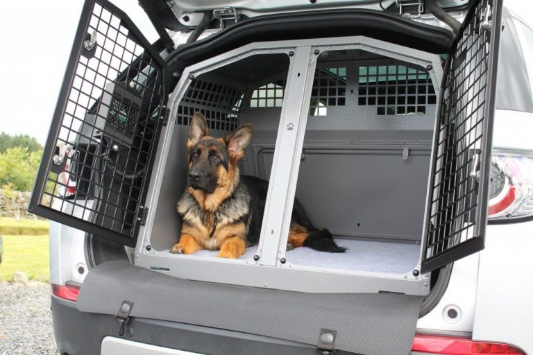 K9/B34 Double Dog Cage Transit Box for Nissan, Discovery Sport, Toyota