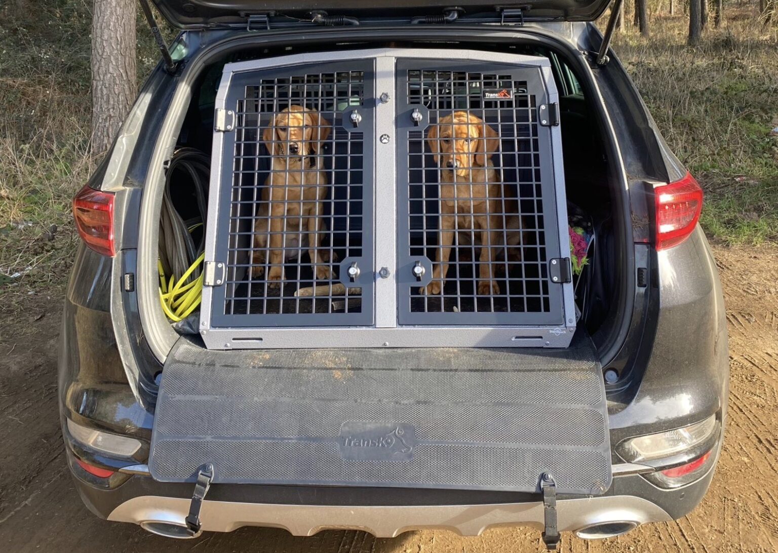 K9/C49 Double Dog Cage Dog Transit Box for Volvo XC40 Kia Sportage