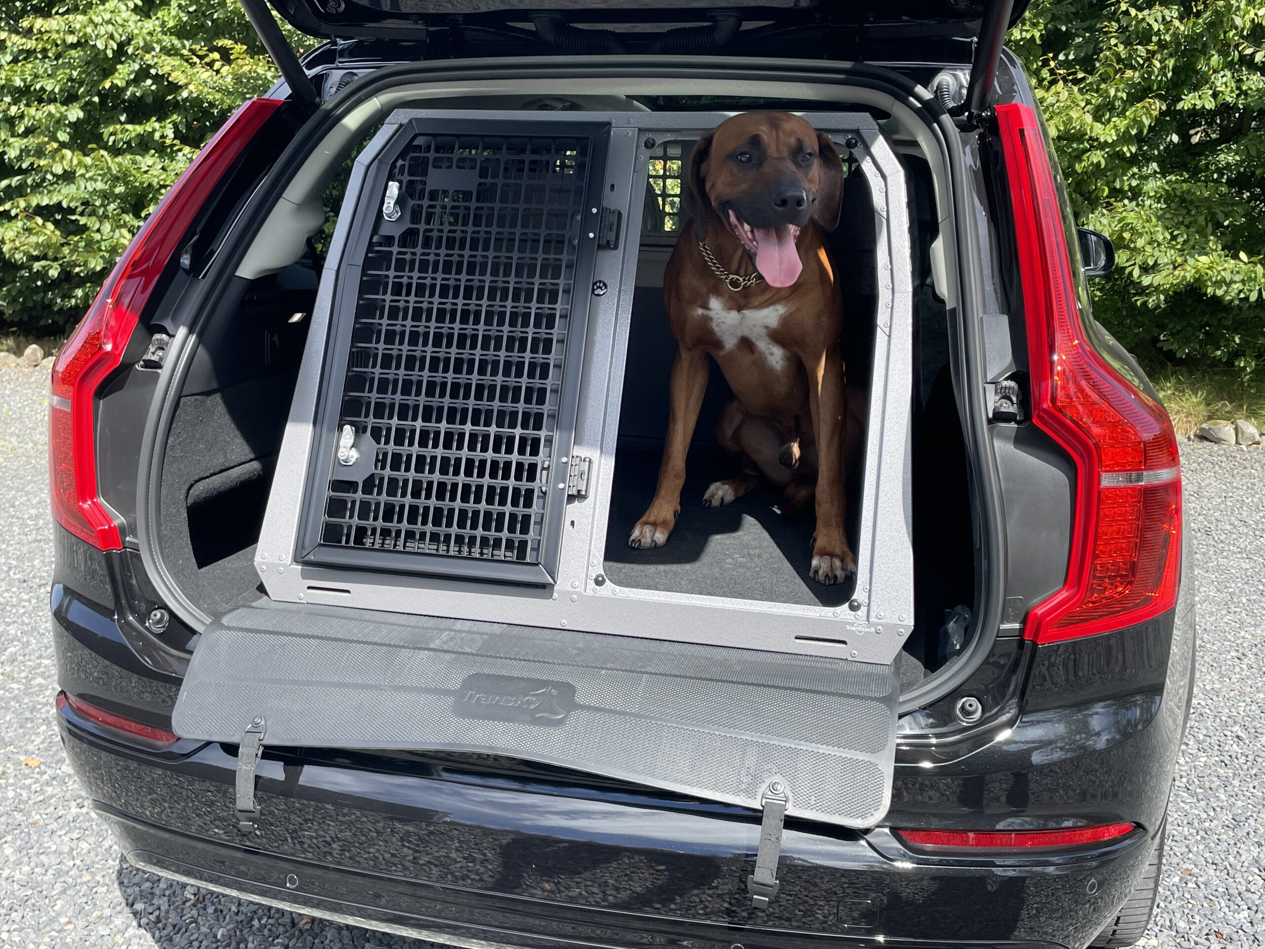 K9/C50 Double Dog Cage for Volvo XC90 TransK9