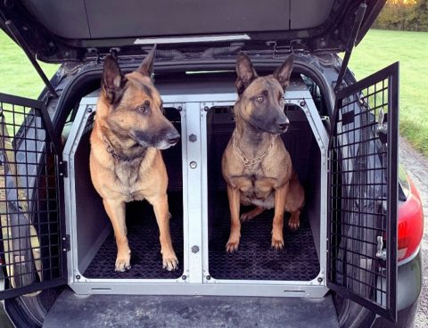 Bespoke dog shop cages for cars