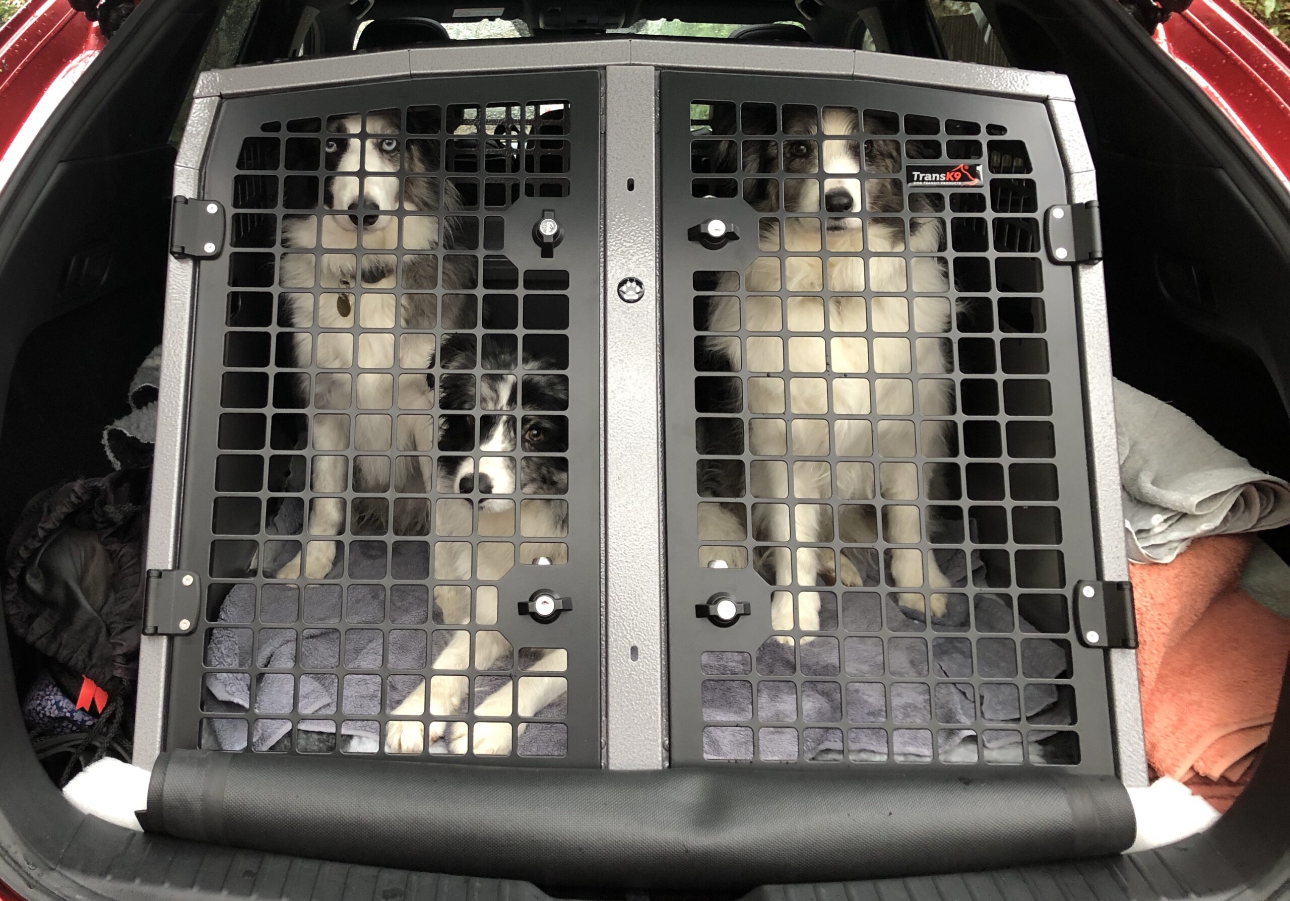 K9/C49 Double Dog Cage Dog Transit Box for Volvo XC40 Kia Sportage