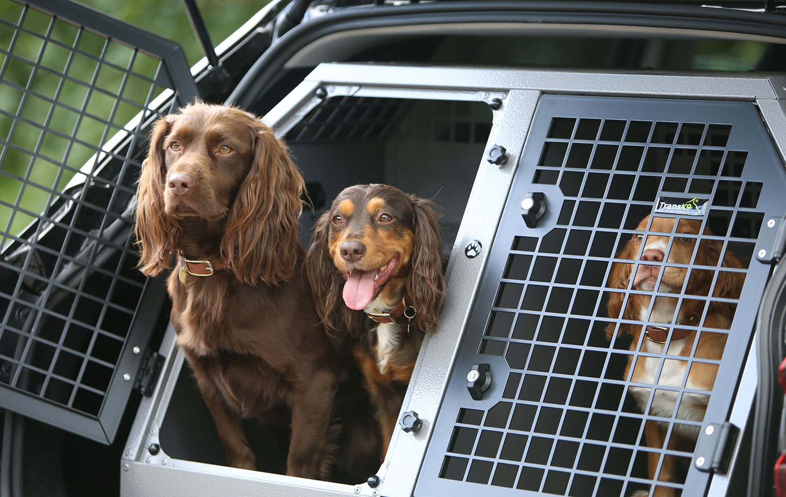 Car dog cages, crates & transit boxes for cars & vans Transk9