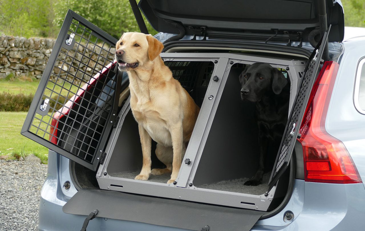 Dog cage on on sale back of car