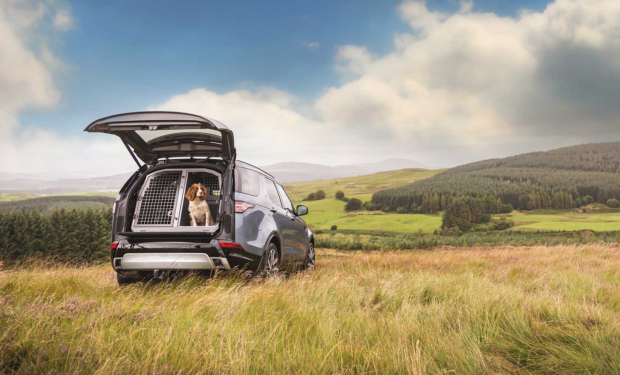 The Best Dog Crates for Car Travel 2024 - Long Haul Trekkers