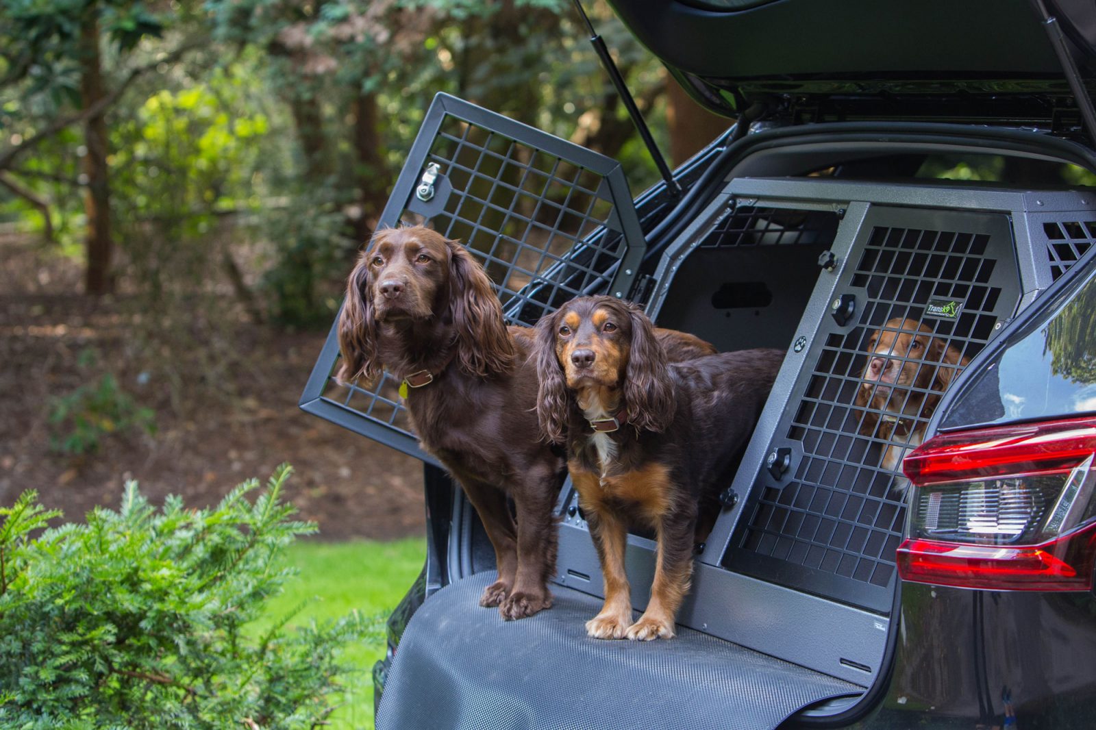 Used dog cages from TransK9 Purchase online