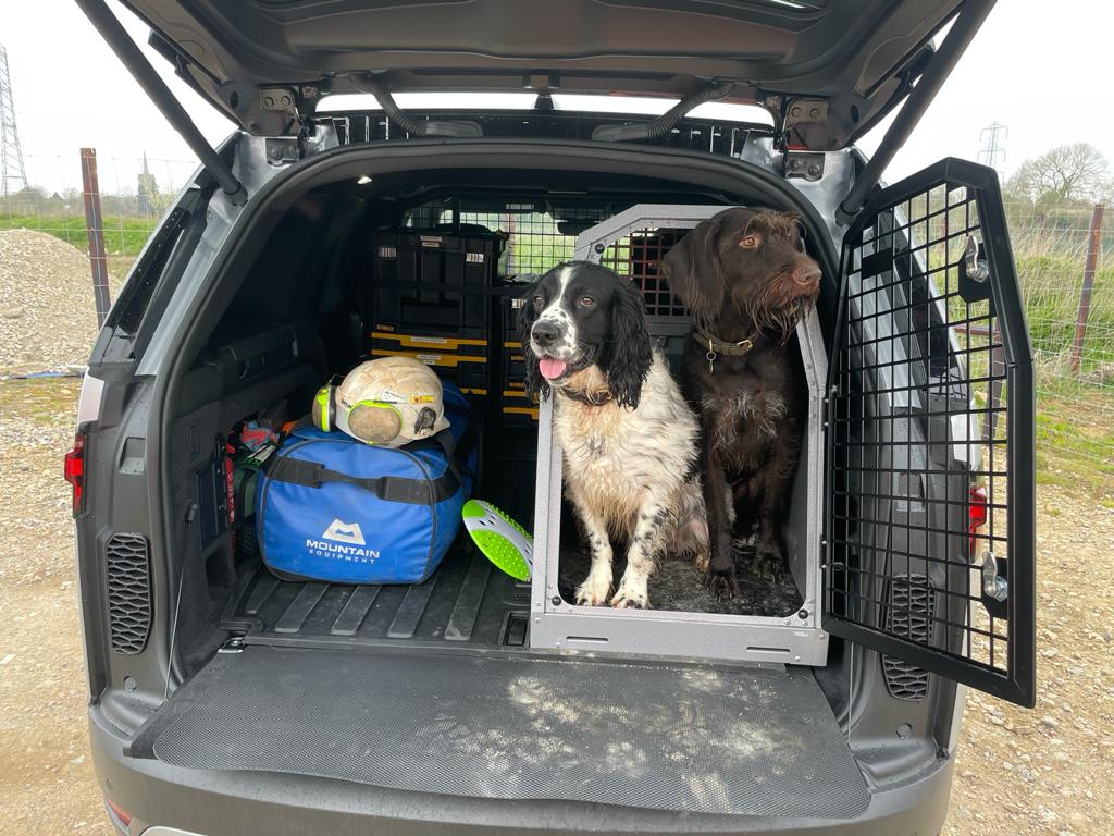 coolaroo dog bed