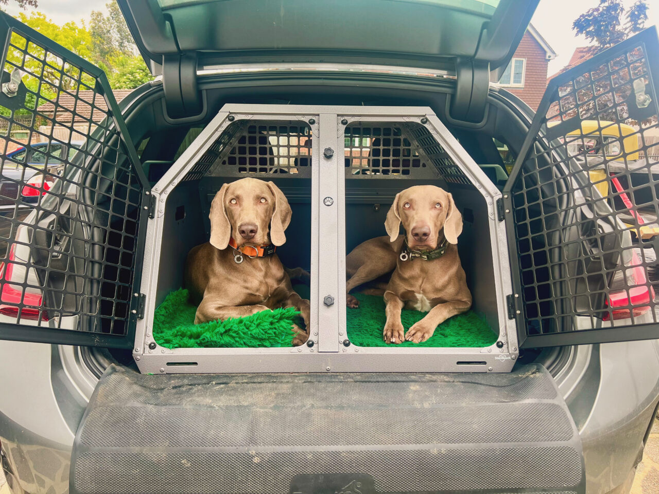 TransK9 C48 Dog Cage | Dog Crate | Dog Transit Box |