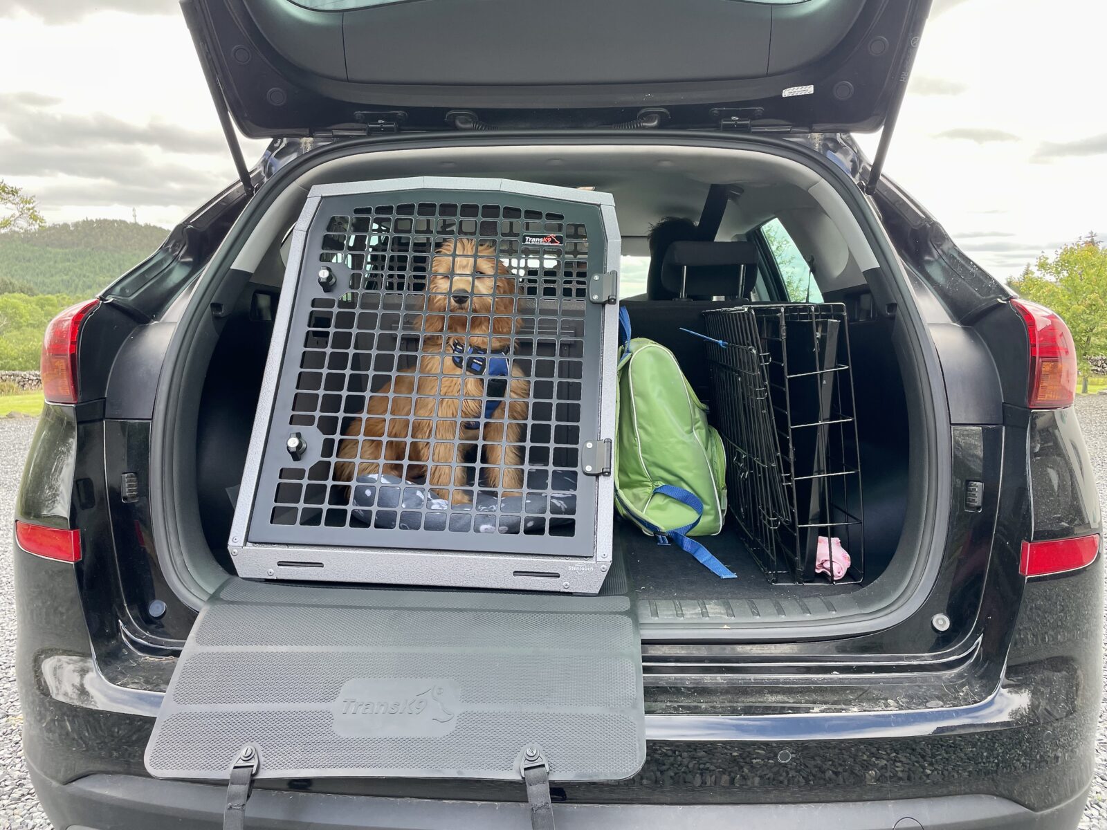 K9/C56 Single Dog Cage Dog Transit Box for Volvo XC40 Kia Sportage